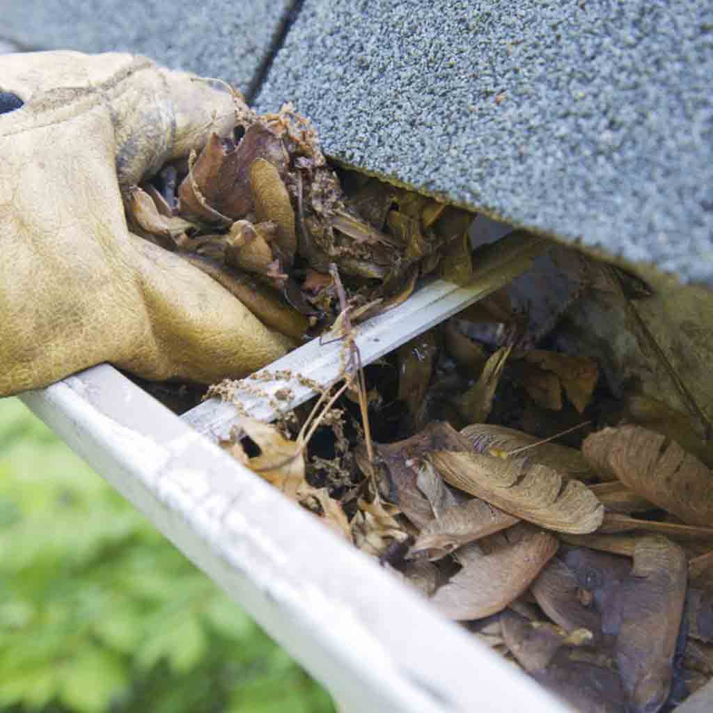Residential Gutters Cleaning & Repairs Abbotsford