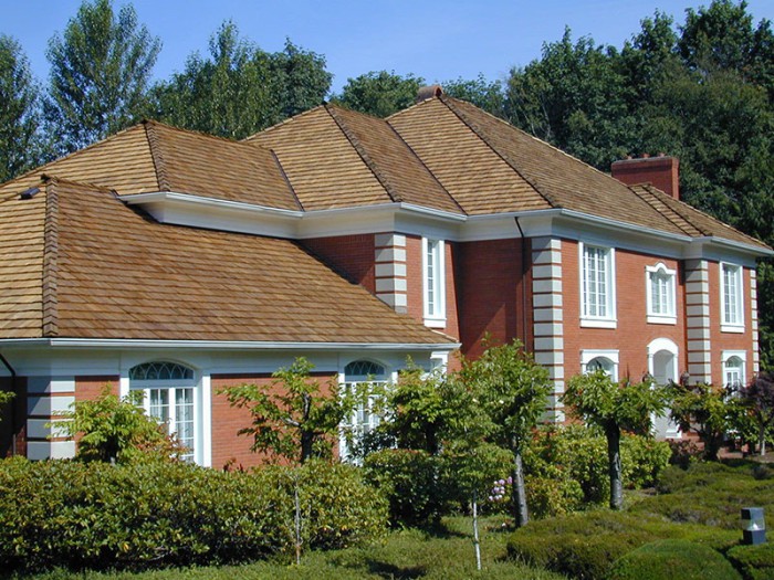 ROOF CLEANING