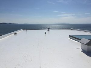 Duro Last Roofing Project in White Rocks