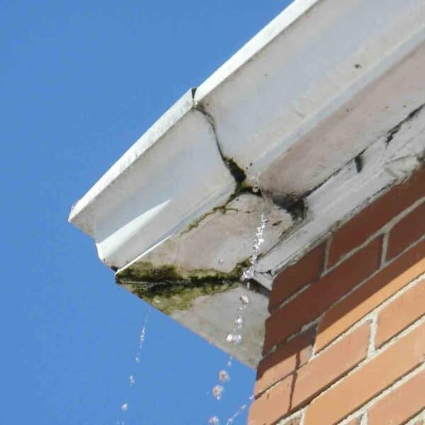 Gutter Inspection