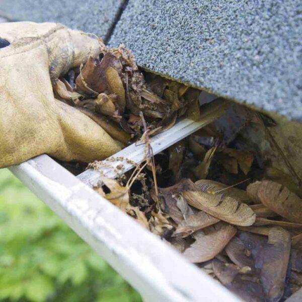 Gutter Removal