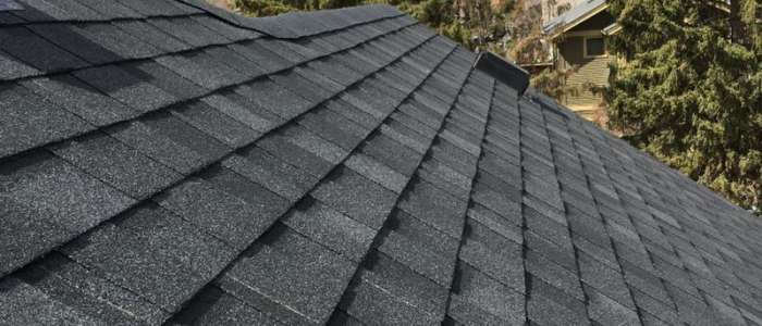 Shingle Roofing Vancouver