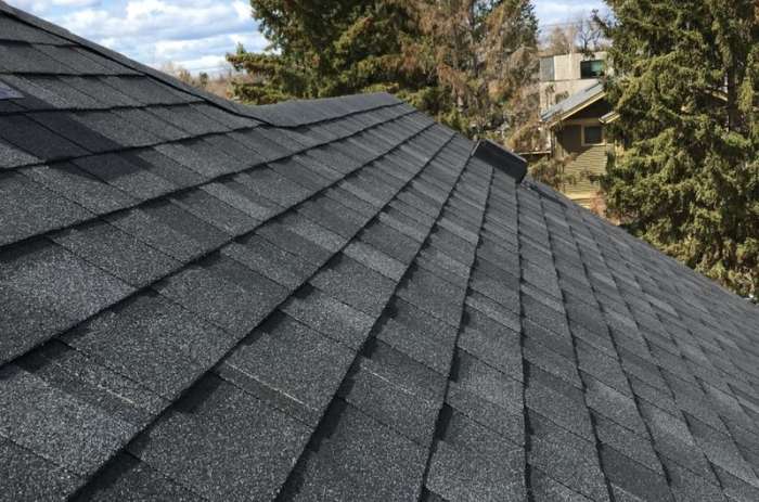 Shingle Roofing Vancouver